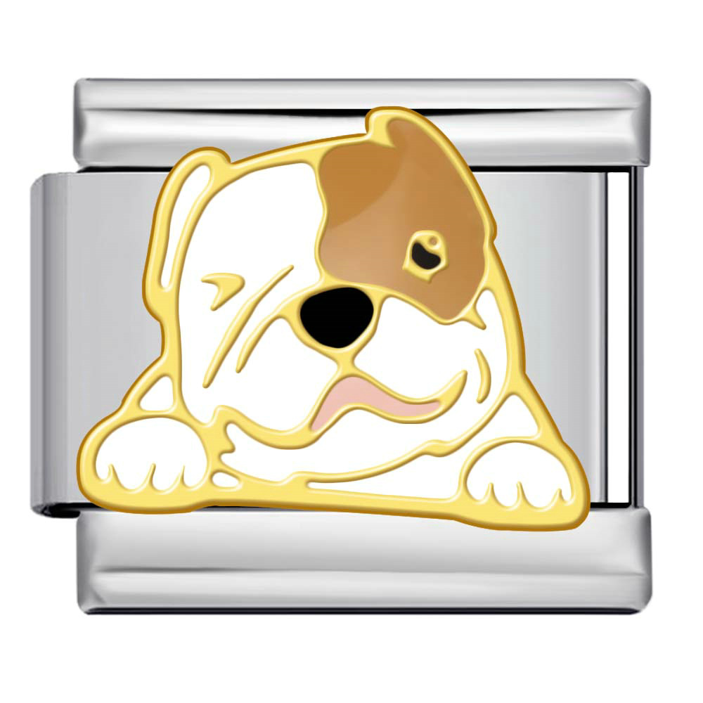 New Pet Cat and Dog Titanium Steel Gold-Plated Welded Pattern DIY Italian Modular Bracelet Charm