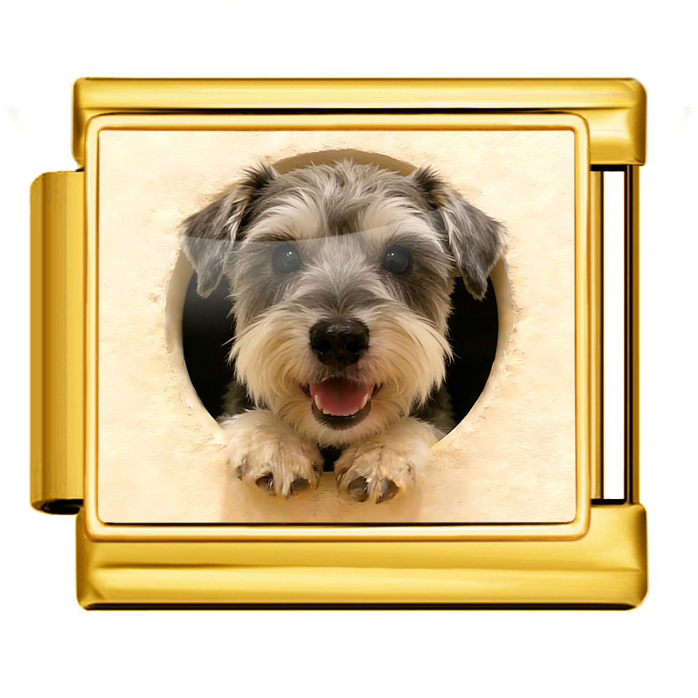 Cute pet dog Italian modular bracelet, multi-functional stainless steel DIY handmade detachable watch strap chain