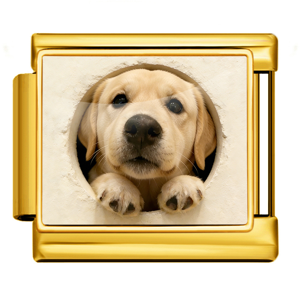 Cute pet dog Italian modular bracelet, multi-functional stainless steel DIY handmade detachable watch strap chain