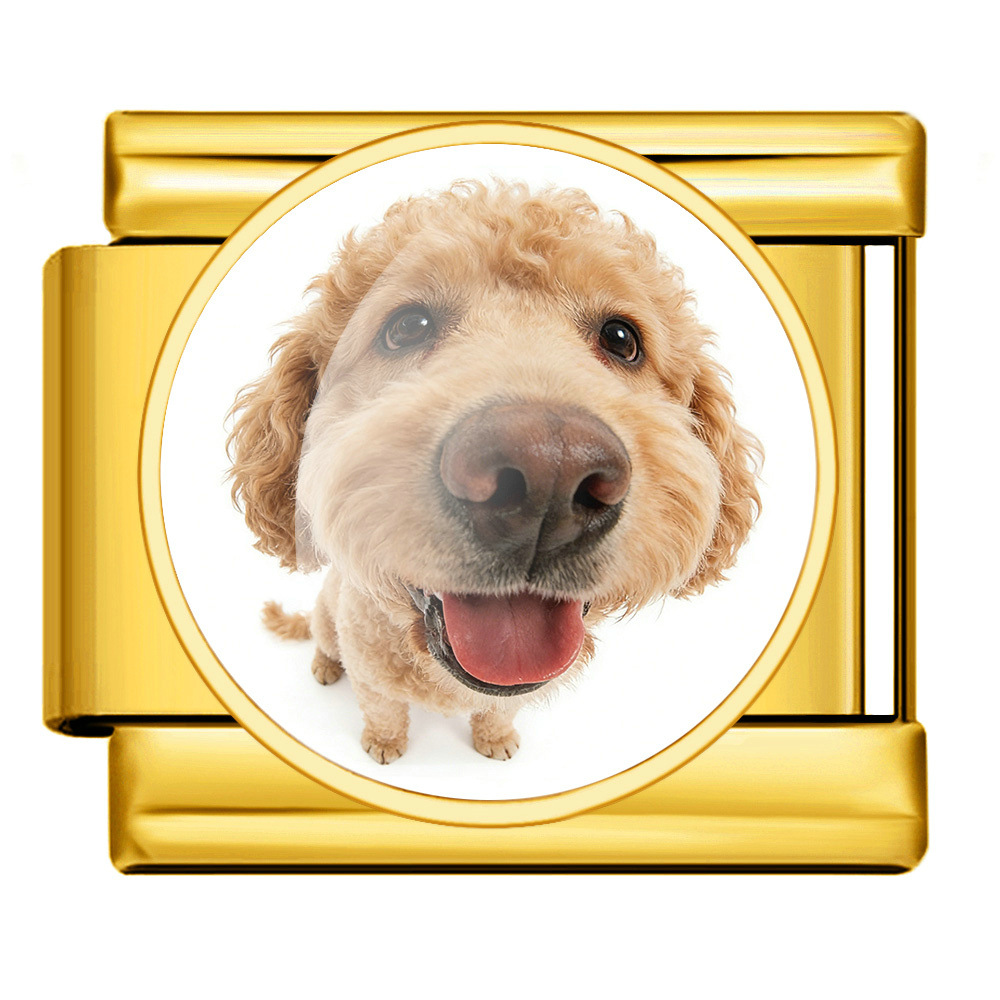 Round pet dog picture style handmade modular Italian assembly bracelet stainless steel DIY watch strap chain