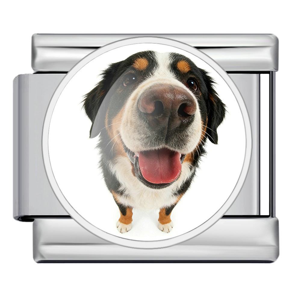 Round pet dog picture style handmade modular Italian assembly bracelet stainless steel DIY watch strap chain