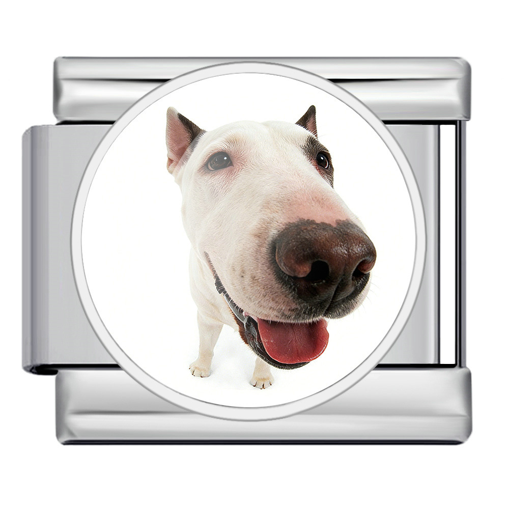 Round pet dog picture style handmade modular Italian assembly bracelet stainless steel DIY watch strap chain