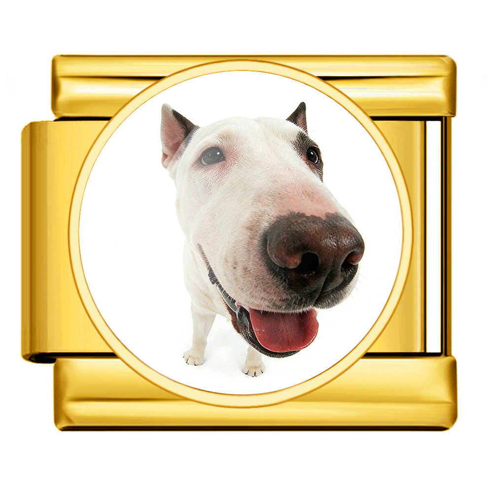Round pet dog picture style handmade modular Italian assembly bracelet stainless steel DIY watch strap chain