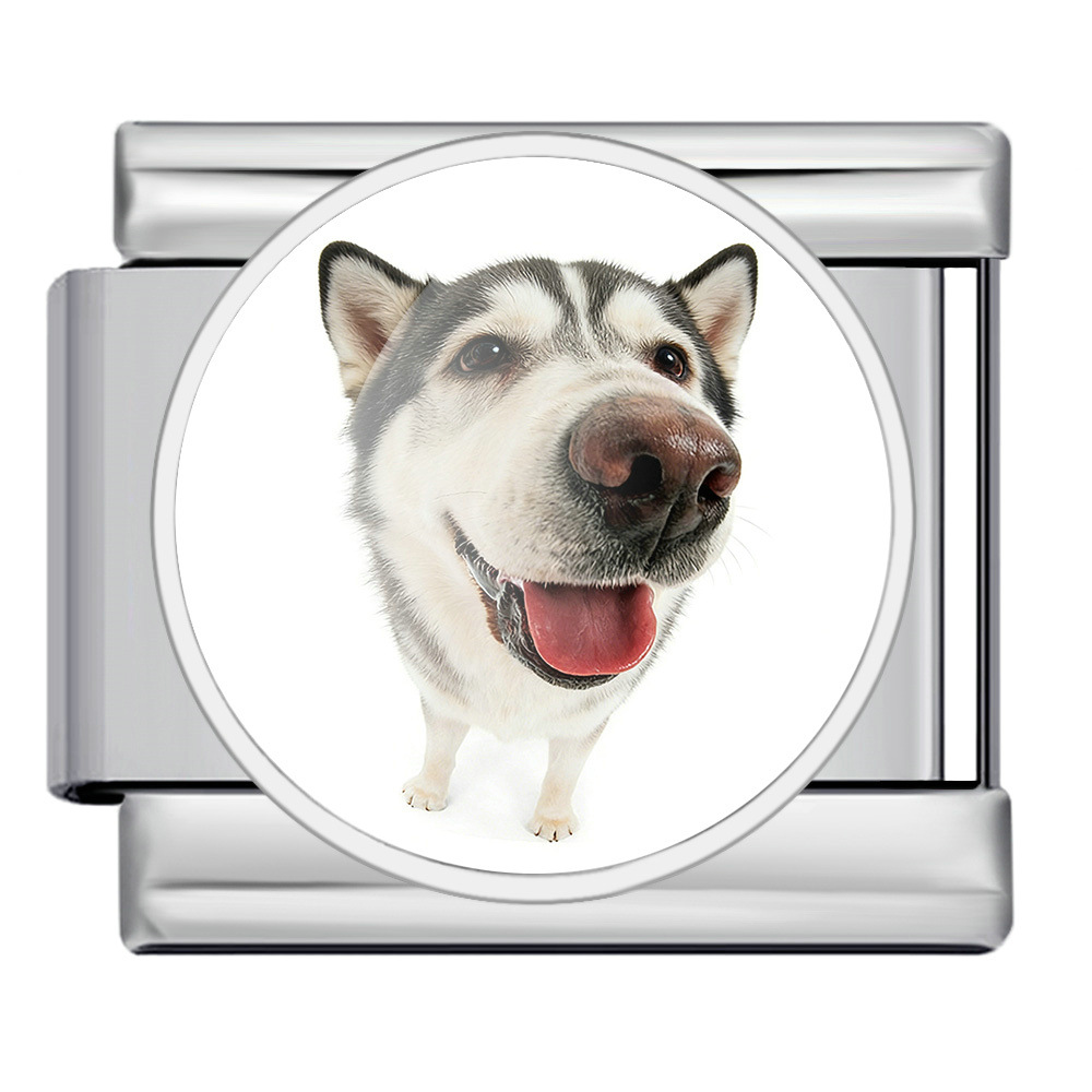 Round pet dog picture style handmade modular Italian assembly bracelet stainless steel DIY watch strap chain