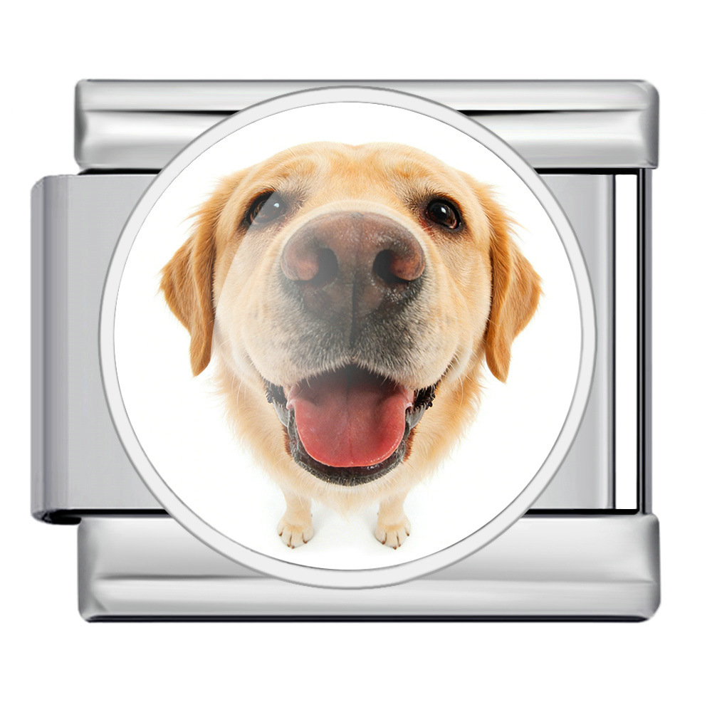 Round pet dog picture style handmade modular Italian assembly bracelet stainless steel DIY watch strap chain