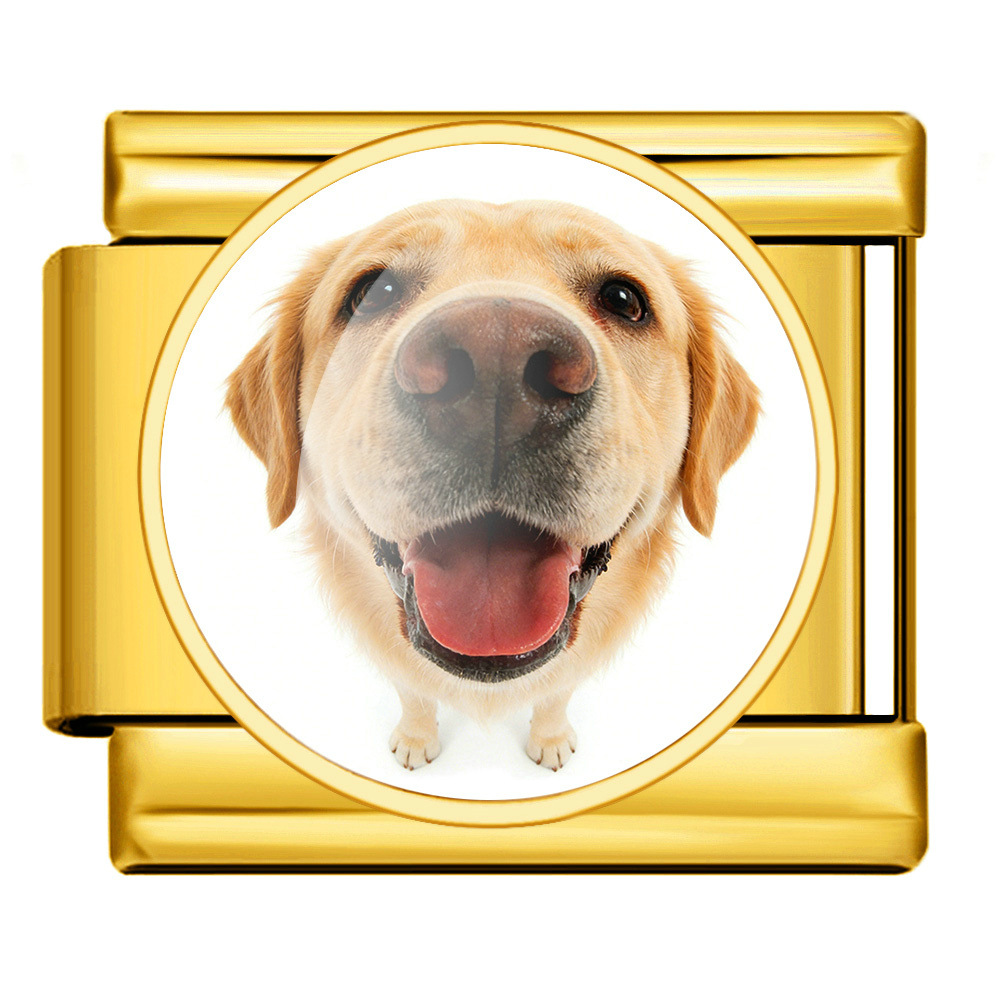 Round pet dog picture style handmade modular Italian assembly bracelet stainless steel DIY watch strap chain