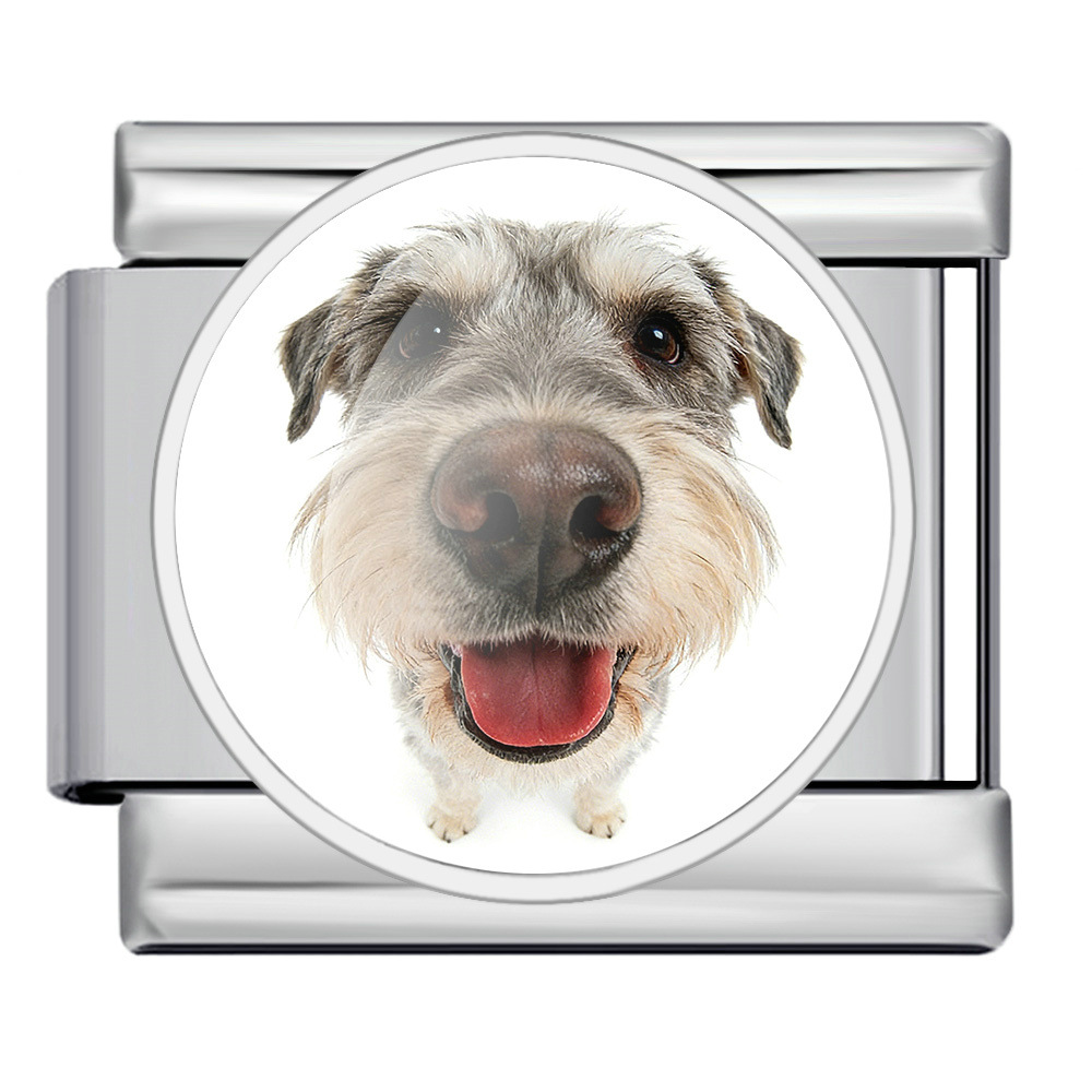 Round pet dog picture style handmade modular Italian assembly bracelet stainless steel DIY watch strap chain