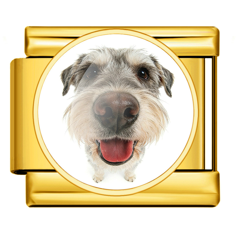 Round pet dog picture style handmade modular Italian assembly bracelet stainless steel DIY watch strap chain