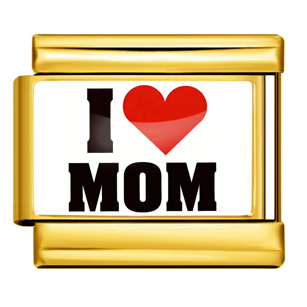 Mother's Day DIY Craft Modular Italian Assembly Bracelet with Detachable Stainless Steel Strap