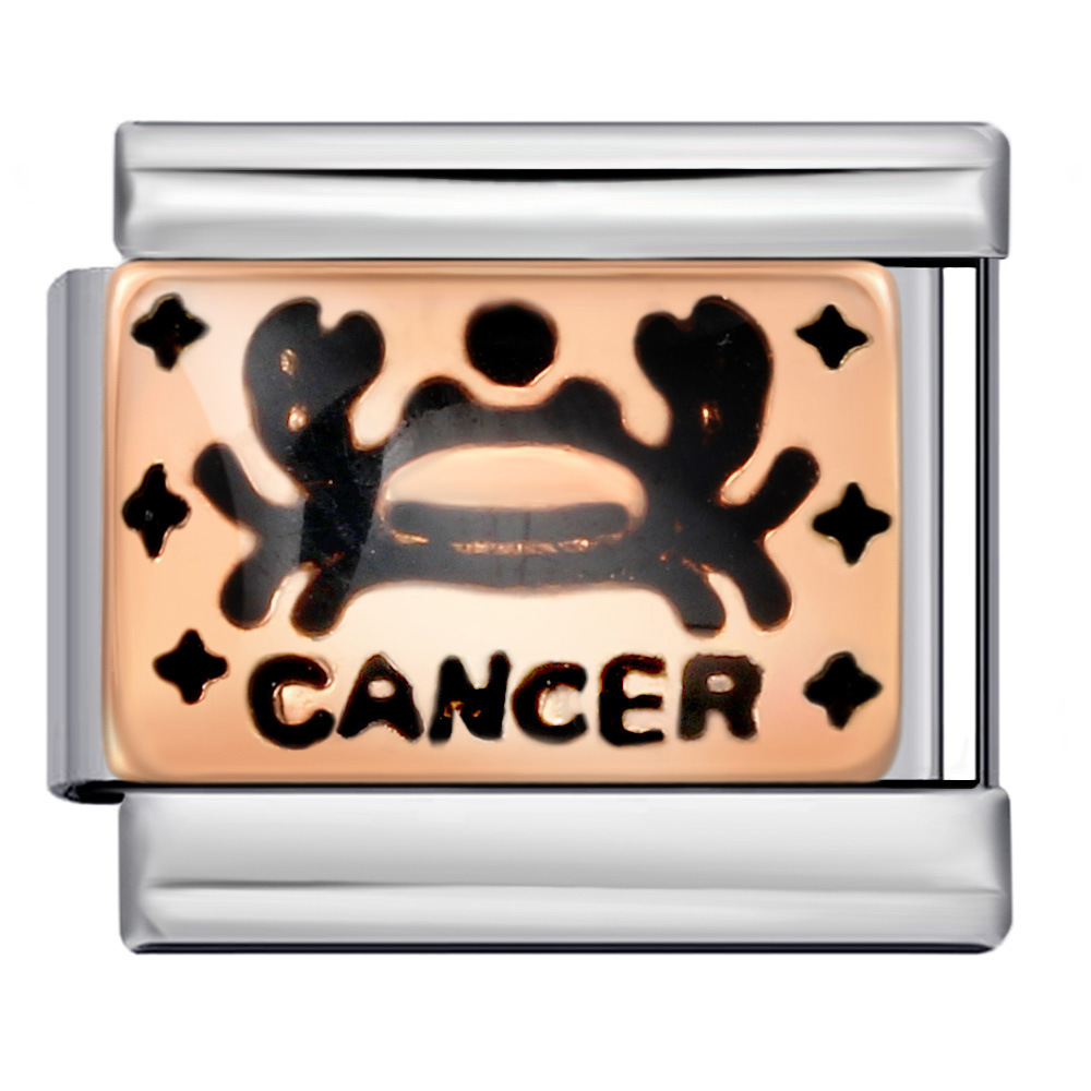 European and American 12 Zodiac Italian Modular Bracelet Stainless Steel Gold Plated Oil Drip Pattern DIY Personalized Bangle Accessories