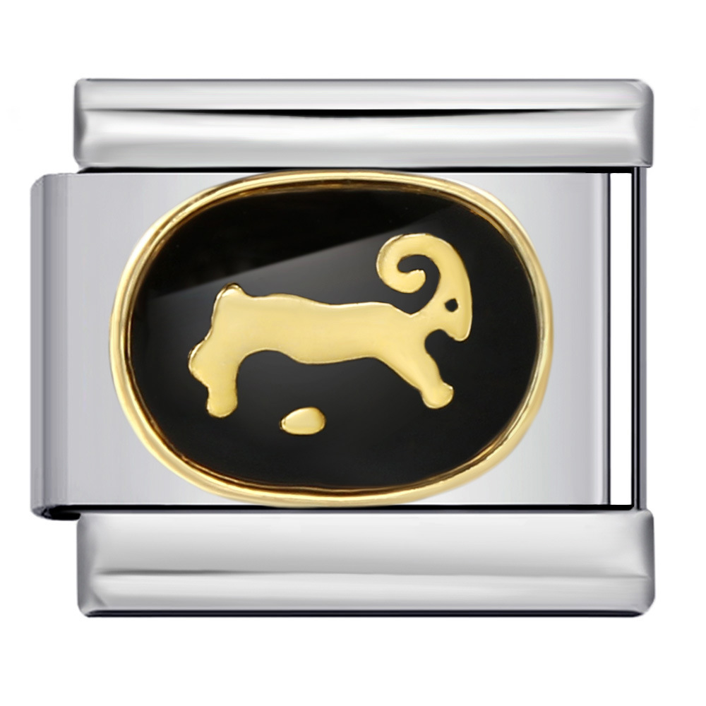 Italian modular bracelet, black welded gold-plated, oil-sprinkled, 12 zodiac sign DIY pattern stainless steel bracelet.