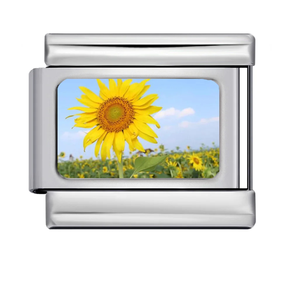 DIY Personalized Photo Frames, Titanium Steel Watch Strap Chains, Stylish Modular Bracelets