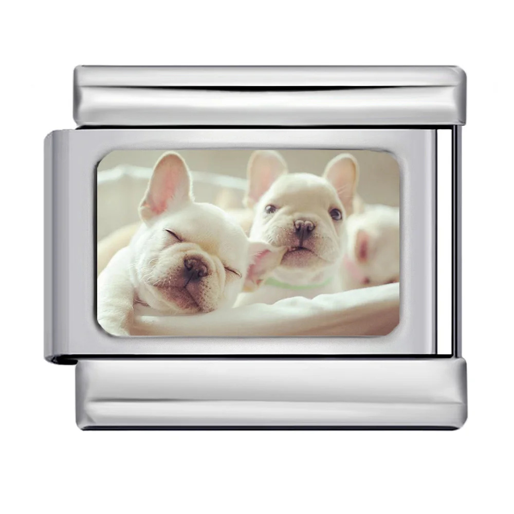 DIY Personalized Photo Frames, Titanium Steel Watch Strap Chains, Stylish Modular Bracelets