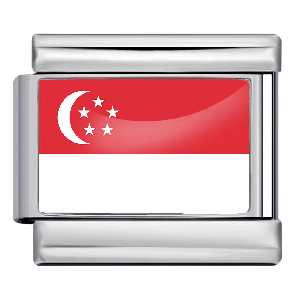 Hot-selling new world flag photo epoxy series titanium steel DIY Italian modular bracelet accessories wholesale