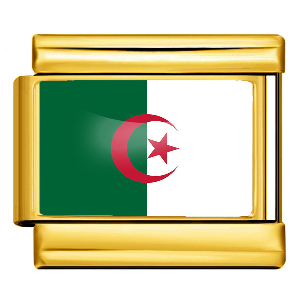 DIY Italian modular bracelet with gold background and world flag photos, made of stainless steel elastic watch strap/bracelet.