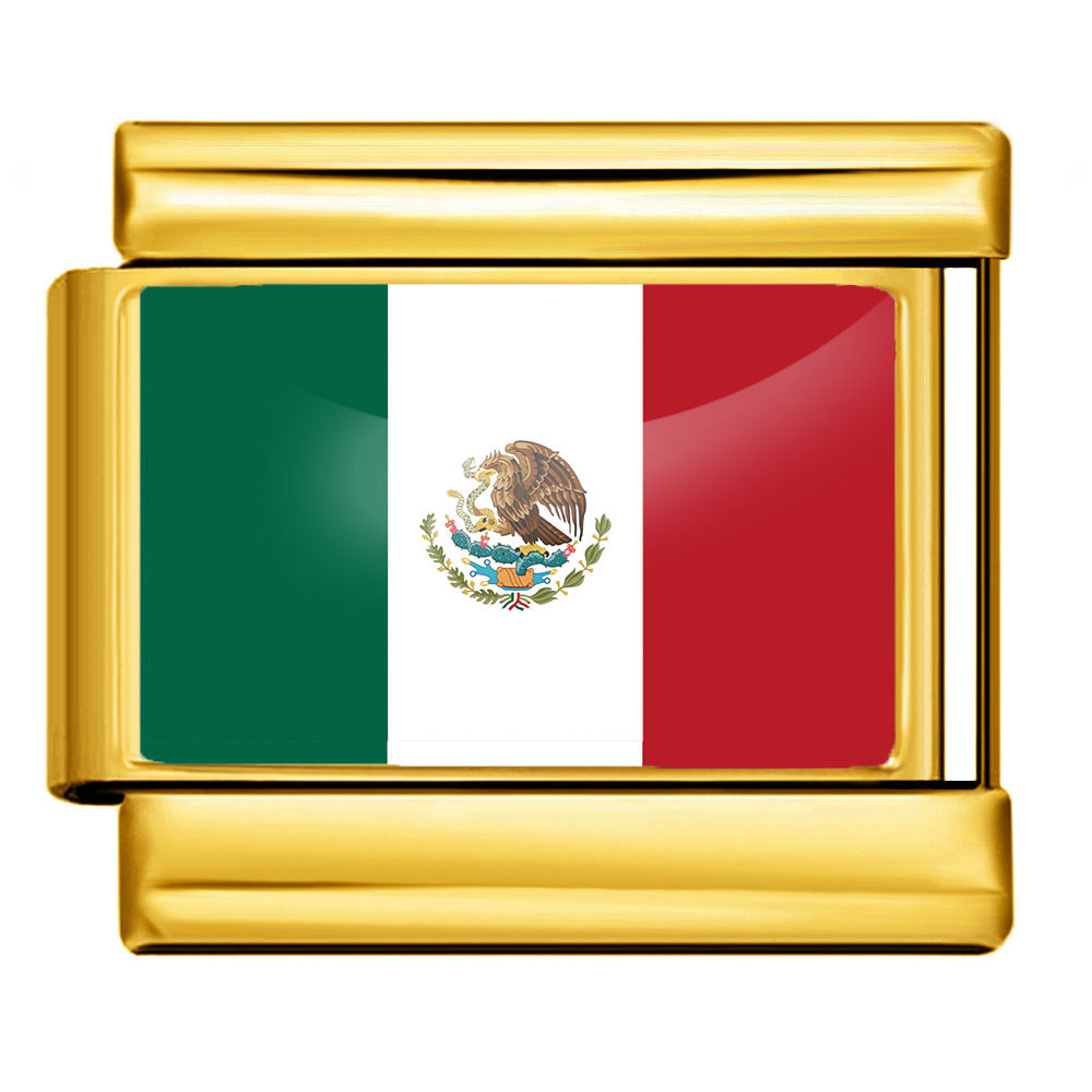 DIY Italian modular bracelet with gold background and world flag photos, made of stainless steel elastic watch strap/bracelet.