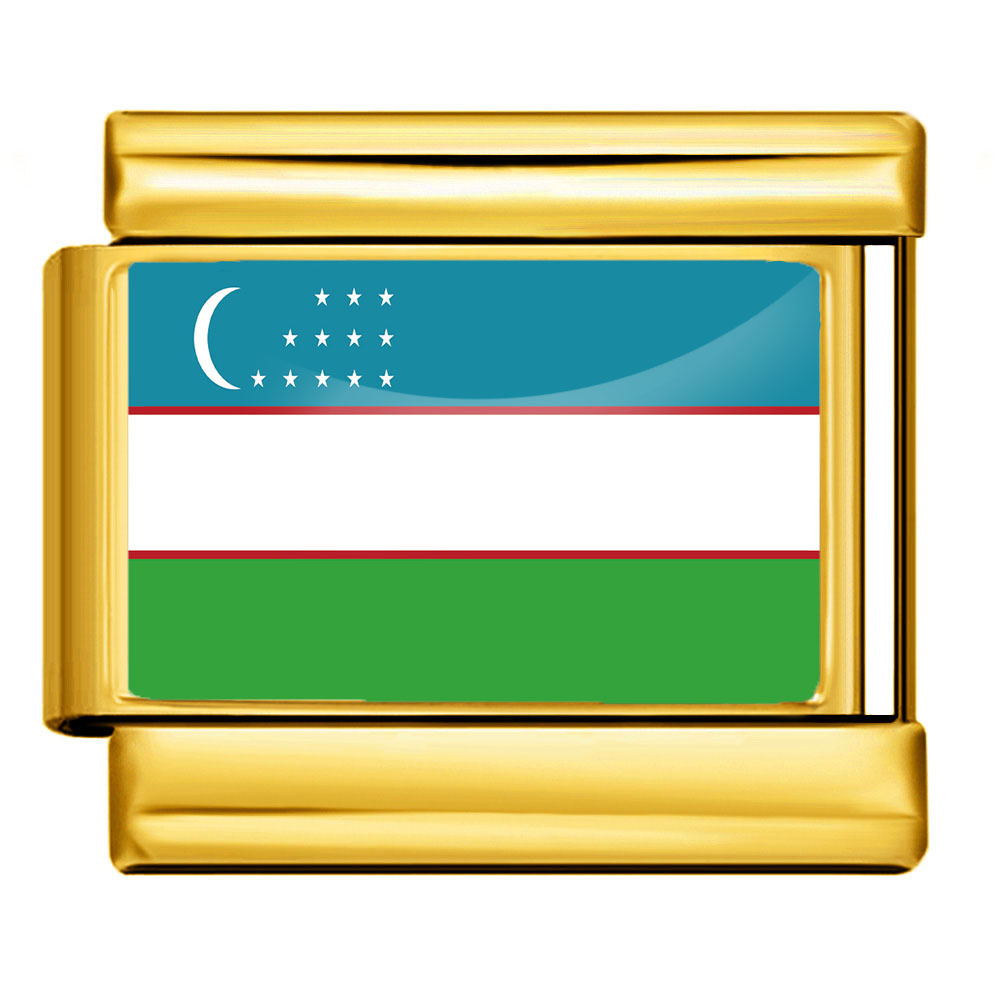 DIY Italian modular bracelet with gold background and world flag photos, made of stainless steel elastic watch strap/bracelet.