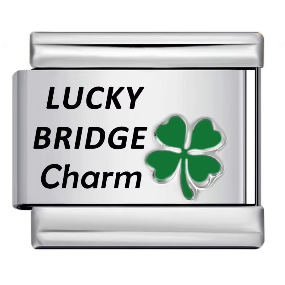 Lucky four-leaf clover laser engraved Italian modular bracelet stainless steel DIY fashion bangle watch strap chain