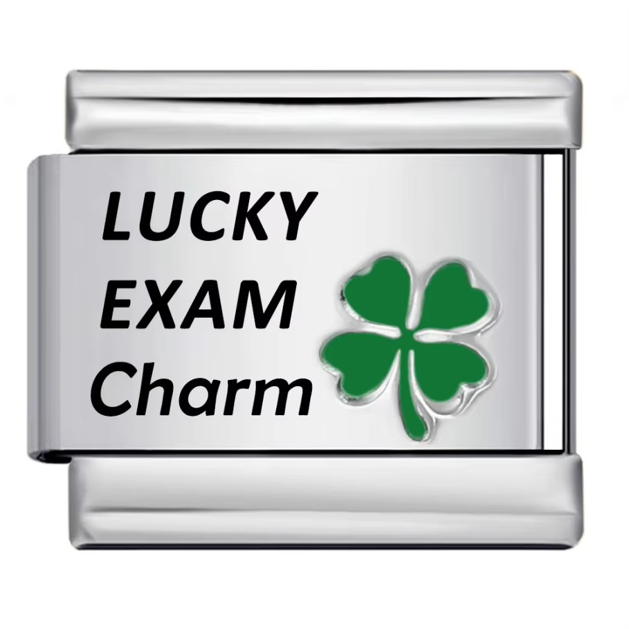 Lucky four-leaf clover laser engraved Italian modular bracelet stainless steel DIY fashion bangle watch strap chain