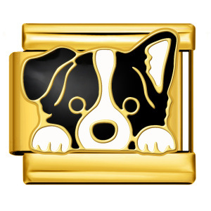 New gold and silver pet dog series titanium steel watch strap chain with gold plating, welding, and oil dripping DIY Italian modular bracelet
