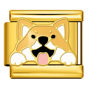 New gold and silver pet dog series titanium steel watch strap chain with gold plating, welding, and oil dripping DIY Italian modular bracelet