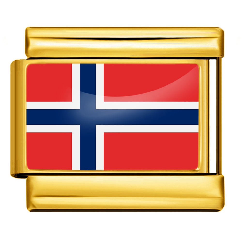 Wholesale of gold and silver background world flag photos, epoxy resin series, stainless steel DIY Italian modular bracelet accessories.