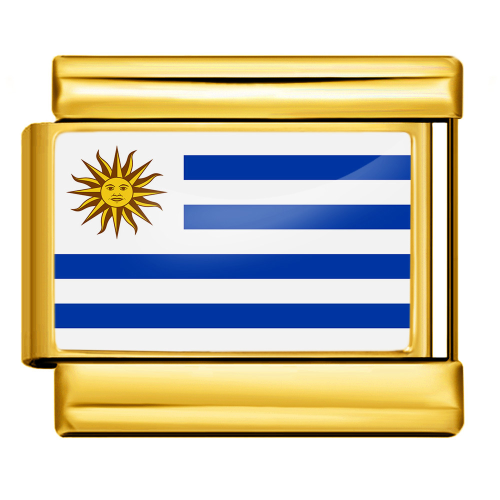 Wholesale of gold and silver background world flag photos, epoxy resin series, stainless steel DIY Italian modular bracelet accessories.