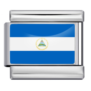 Wholesale of gold and silver background world flag photos, epoxy resin series, stainless steel DIY Italian modular bracelet accessories.