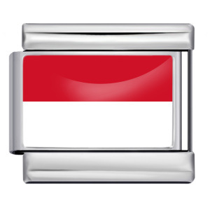 Wholesale of gold and silver background world flag photos, epoxy resin series, stainless steel DIY Italian modular bracelet accessories.