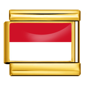 Wholesale of gold and silver background world flag photos, epoxy resin series, stainless steel DIY Italian modular bracelet accessories.