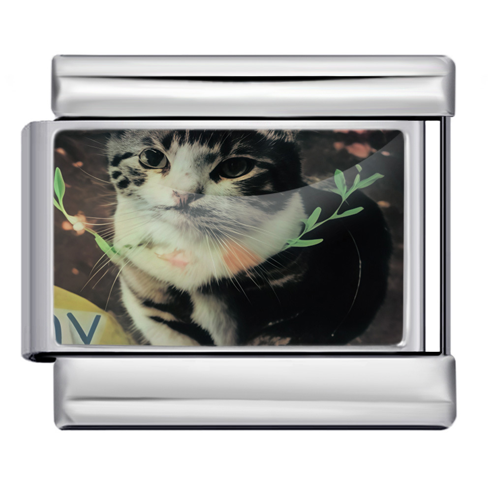 Cute Cat Series Italian Modular Bracelet, Multifunctional Stainless Steel DIY Free Combination Modular Accessories