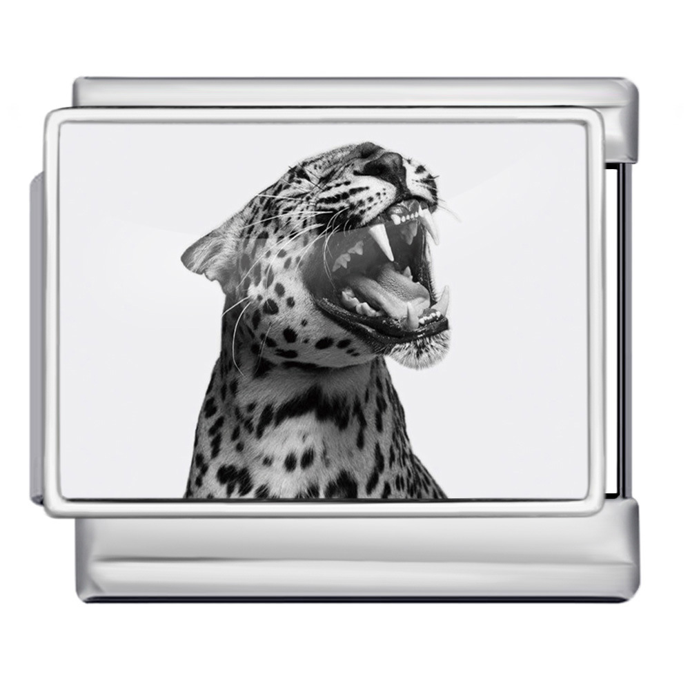Cute Cat Series Italian Modular Bracelet, Multifunctional Stainless Steel DIY Free Combination Modular Accessories