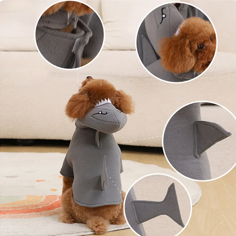 Gray Shark Dog