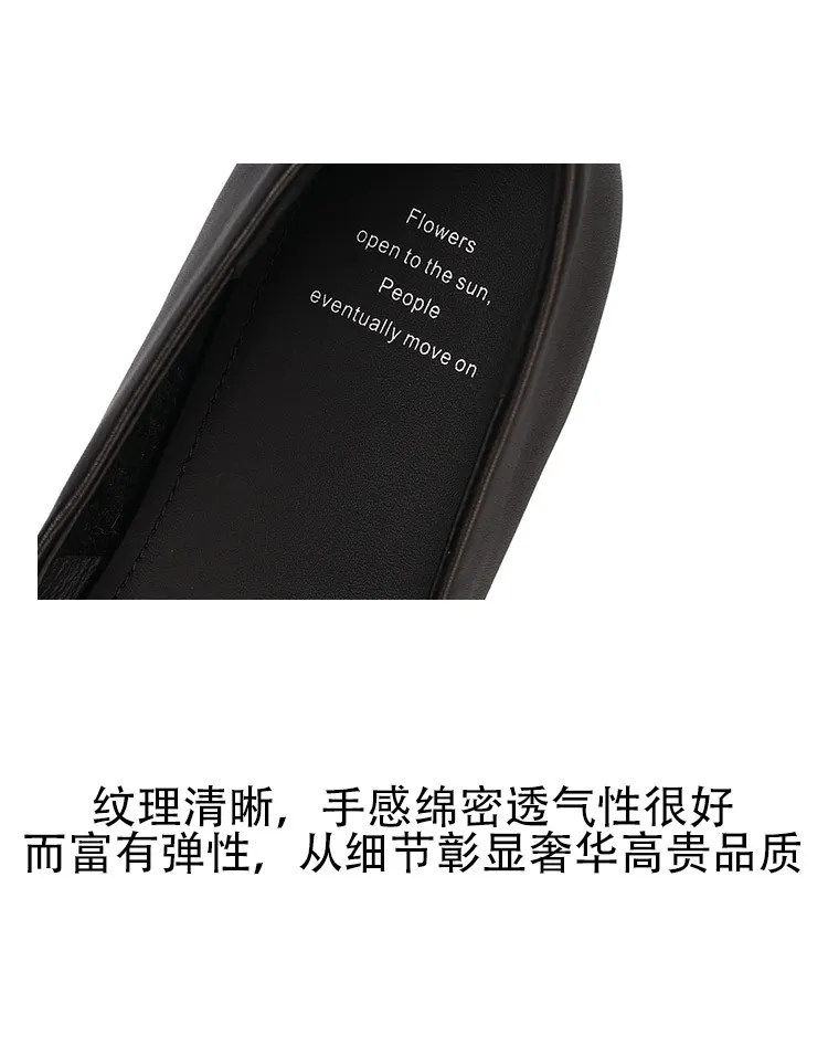 Early spring single shoes, square toe, chunky heel, low heel, shallow mouth, elegant and comfortable women's shoes, 12-26t