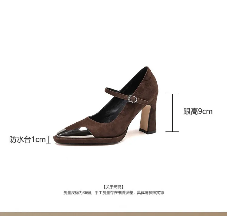 Early spring single shoes with buckle, chunky heel, high heel, and iron toe, comfortable women's shoes, brown and black.
