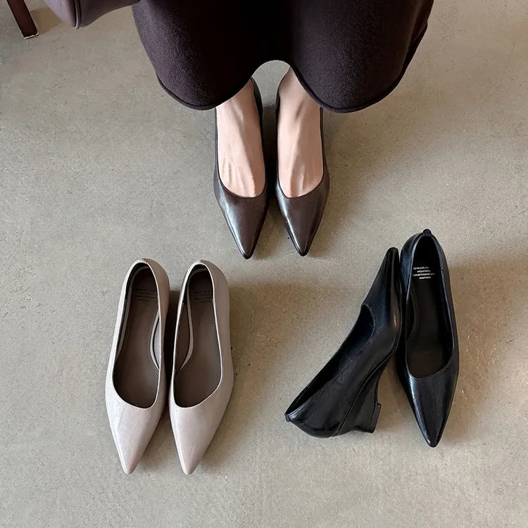 Early Spring Single Shoes Pointed Toe Wedge Heel High Heel Low Mouth Fashion Leather Women's Shoes 2-27n