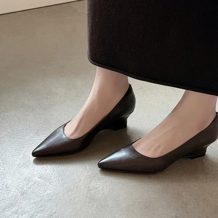 Early Spring Single Shoes Pointed Toe Wedge Heel High Heel Low Mouth Fashion Leather Women's Shoes 2-27n