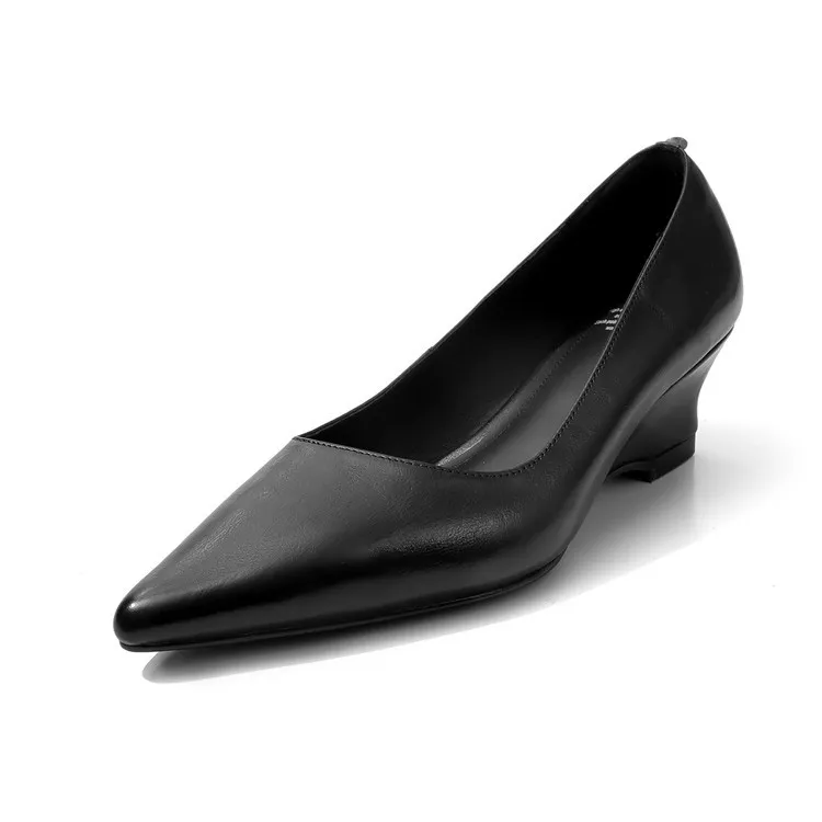Early Spring Single Shoes Pointed Toe Wedge Heel High Heel Low Mouth Fashion Leather Women's Shoes 2-27n