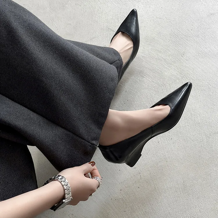 Early Spring Single Shoes Pointed Toe Wedge Heel High Heel Low Mouth Fashion Leather Women's Shoes 2-27n