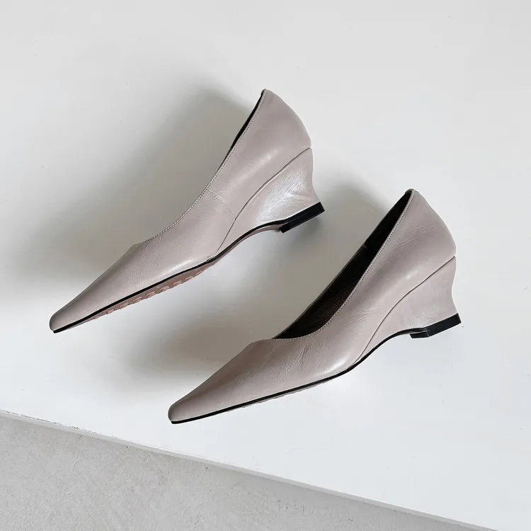 Early Spring Single Shoes Pointed Toe Wedge Heel High Heel Low Mouth Fashion Leather Women's Shoes 2-27n