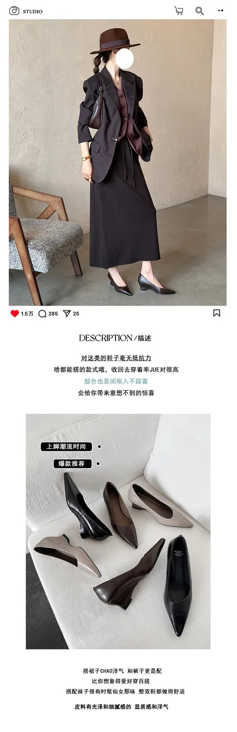 Early Spring Single Shoes Pointed Toe Wedge Heel High Heel Low Mouth Fashion Leather Women's Shoes 2-27n