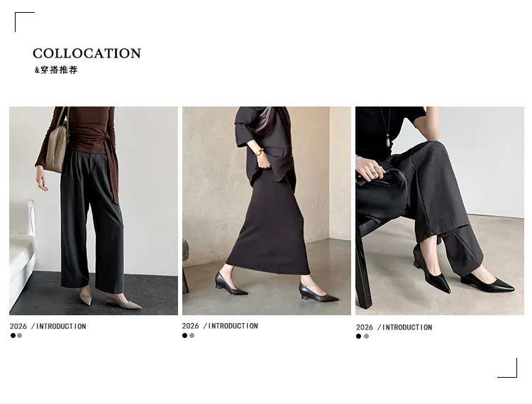 Early Spring Single Shoes Pointed Toe Wedge Heel High Heel Low Mouth Fashion Leather Women's Shoes 2-27n
