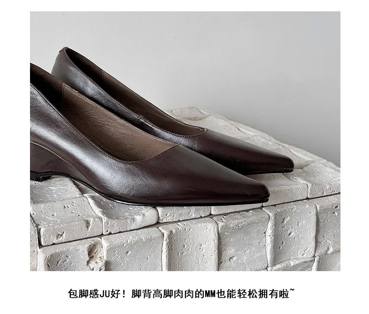 Early Spring Single Shoes Pointed Toe Wedge Heel High Heel Low Mouth Fashion Leather Women's Shoes 2-27n
