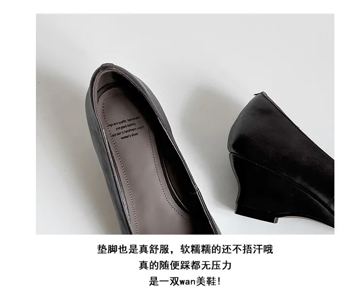 Early Spring Single Shoes Pointed Toe Wedge Heel High Heel Low Mouth Fashion Leather Women's Shoes 2-27n