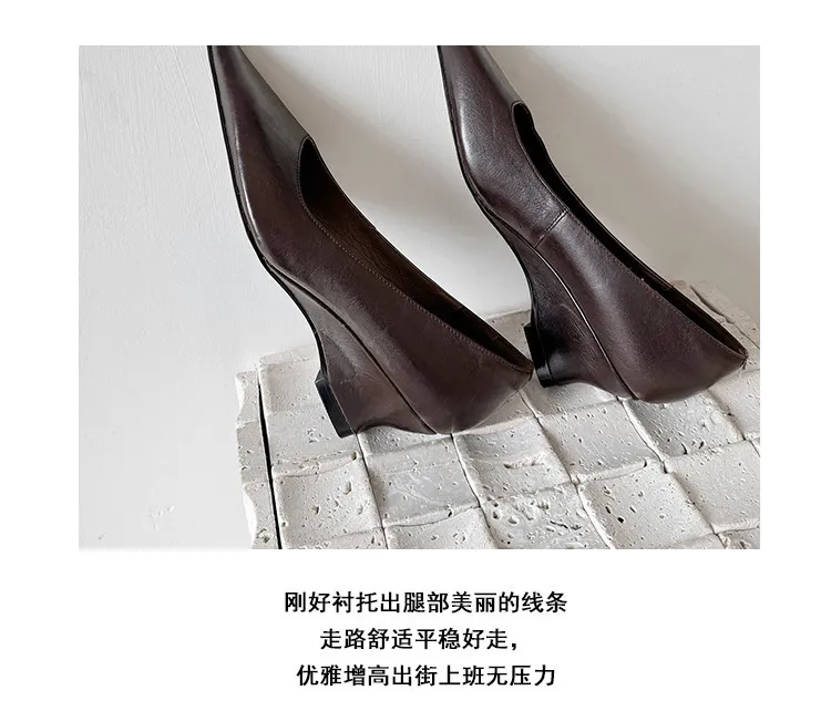 Early Spring Single Shoes Pointed Toe Wedge Heel High Heel Low Mouth Fashion Leather Women's Shoes 2-27n