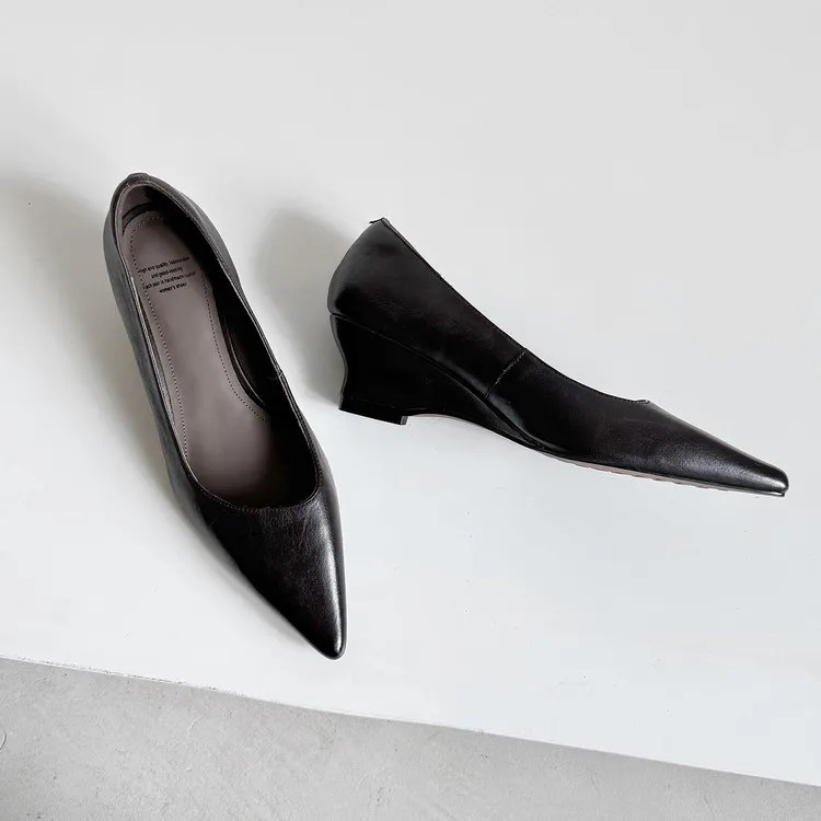 Early Spring Single Shoes Pointed Toe Wedge Heel High Heel Low Mouth Fashion Leather Women's Shoes 2-27n