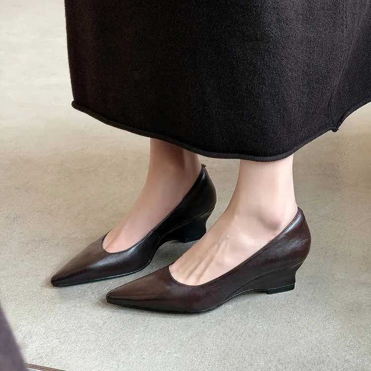 Early Spring Single Shoes Pointed Toe Wedge Heel High Heel Low Mouth Fashion Leather Women's Shoes 2-27n
