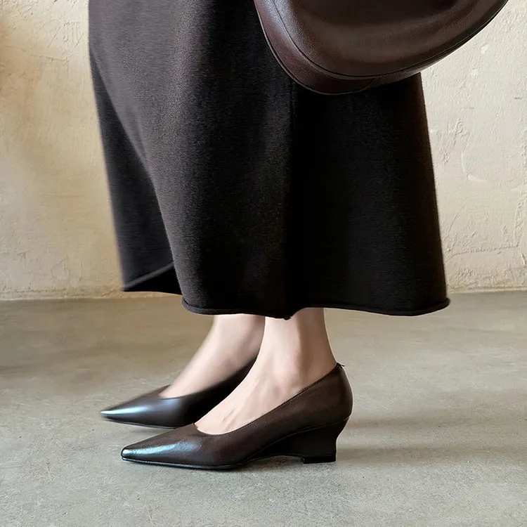 Early Spring Single Shoes Pointed Toe Wedge Heel High Heel Low Mouth Fashion Leather Women's Shoes 2-27n