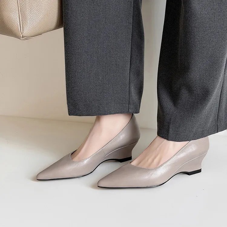 Early Spring Single Shoes Pointed Toe Wedge Heel High Heel Low Mouth Fashion Leather Women's Shoes 2-27n