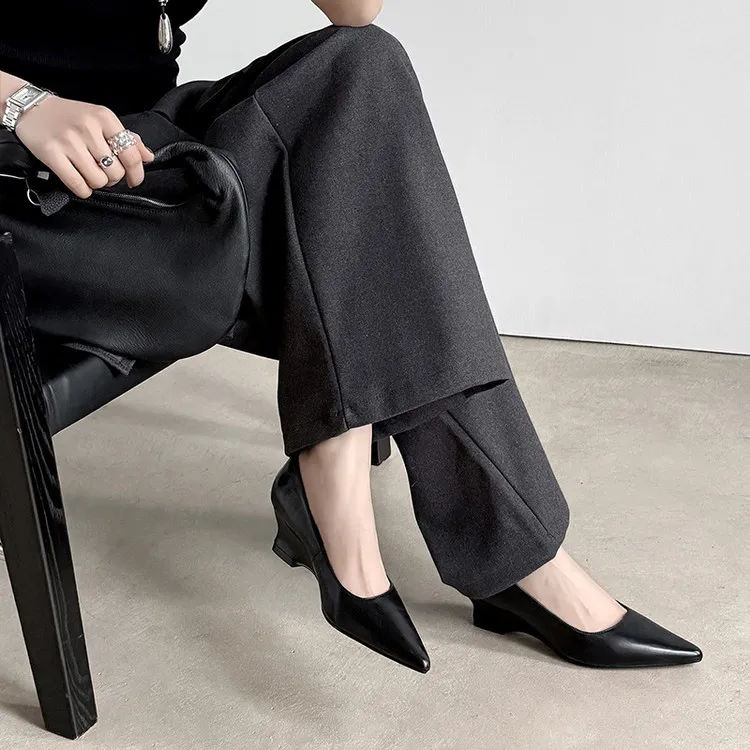 Early Spring Single Shoes Pointed Toe Wedge Heel High Heel Low Mouth Fashion Leather Women's Shoes 2-27n